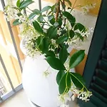 Tatil Evi Casa Carlotta