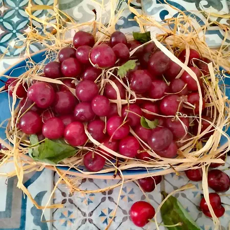 Casa Carlotta Dom wakacyjny Monopoli