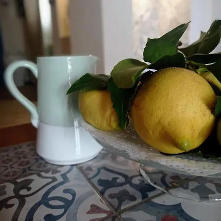 Casa Carlotta 모노폴리