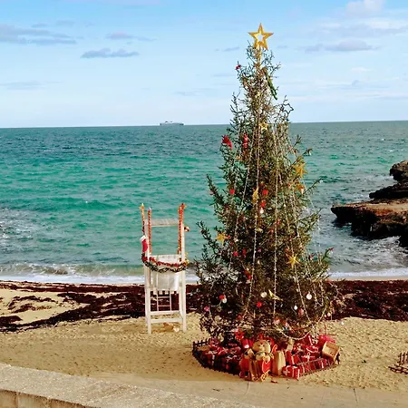 Casa Carlotta 모노폴리