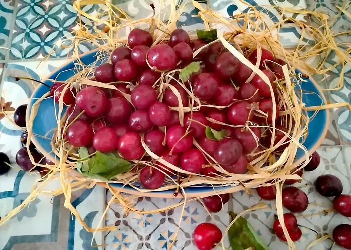 Casa Carlotta Holiday home Monopoli