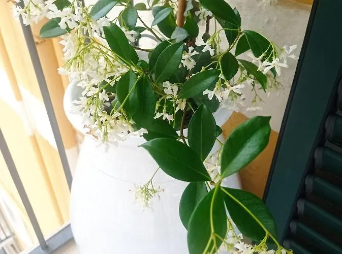 Holiday home Casa Carlotta